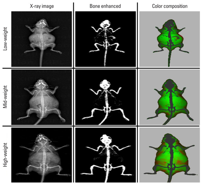 Fig. 2