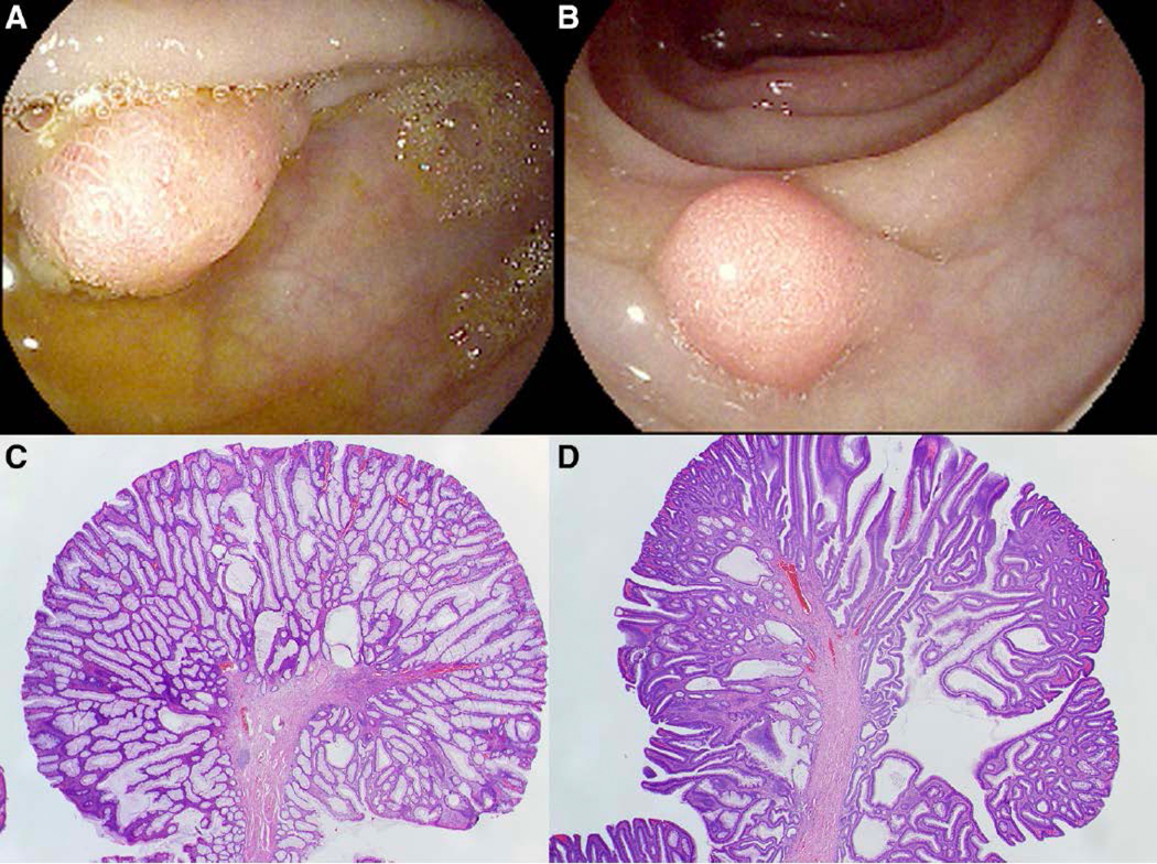 Figure 1: