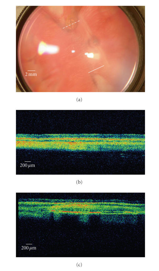 Figure 9