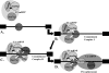 FIG. 7.
