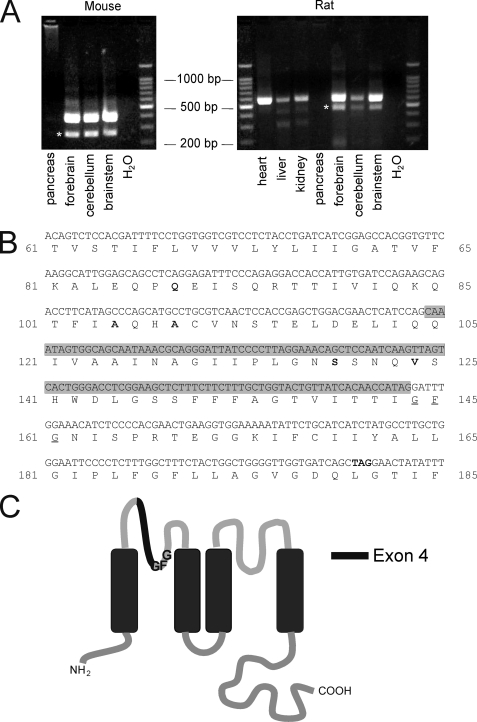 FIGURE 1.