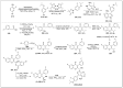 Scheme 19