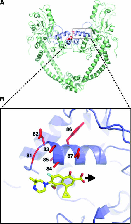 FIG. 2.