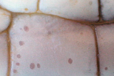 Figure 6-21