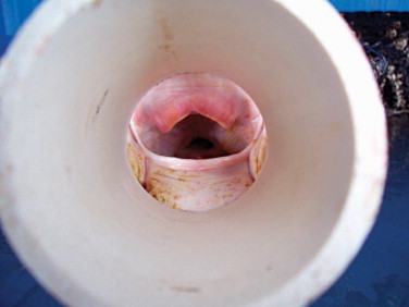 Figure 6-10