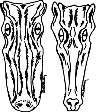Figure 6-3