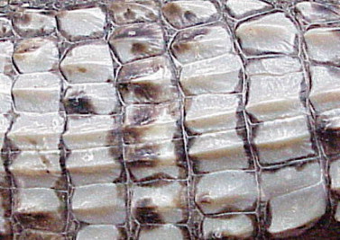 Figure 6-20