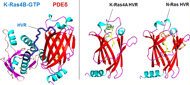 graphic file with name nihms-1665886-f0001.jpg