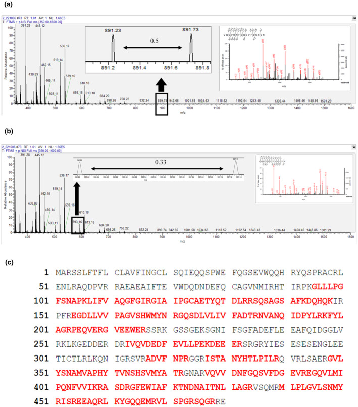 FIGURE 2