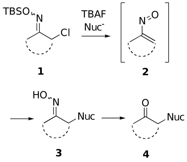 Scheme 1