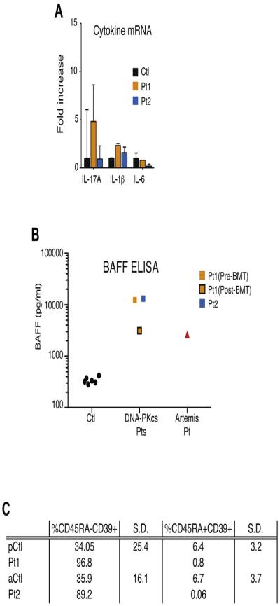 FIG E2