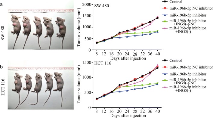 Fig. 10