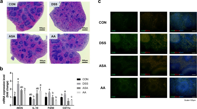 Fig. 6