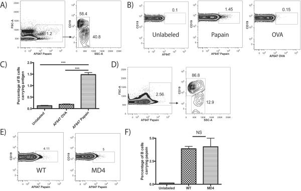 FIGURE 1