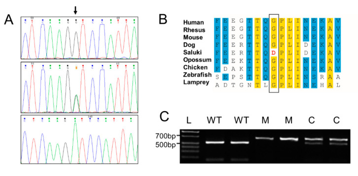 Figure 6