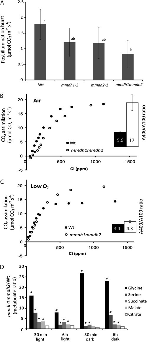 Figure 6.