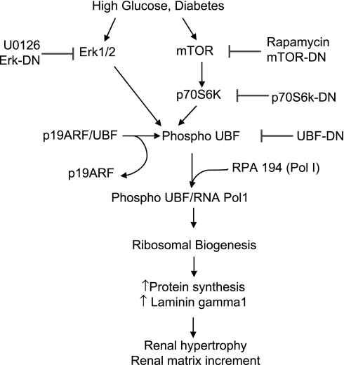 Fig. 9.