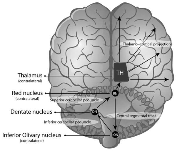 FIG 1