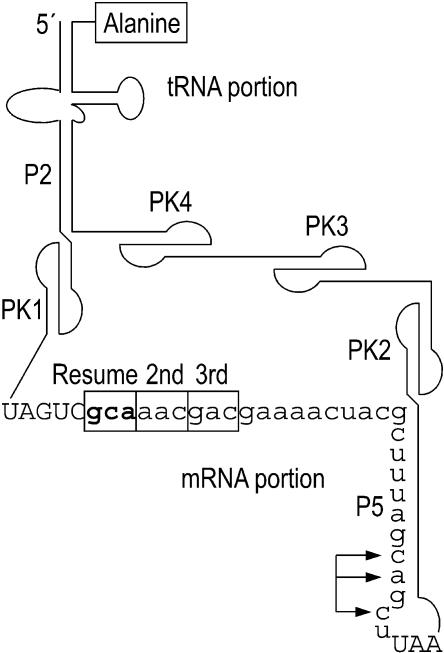 FIGURE 1.