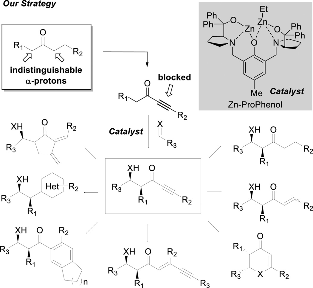 Scheme 2