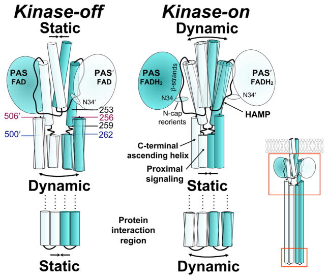 Fig. 8