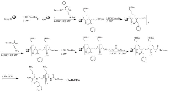 Scheme 1