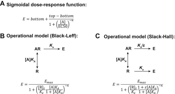 Figure 2