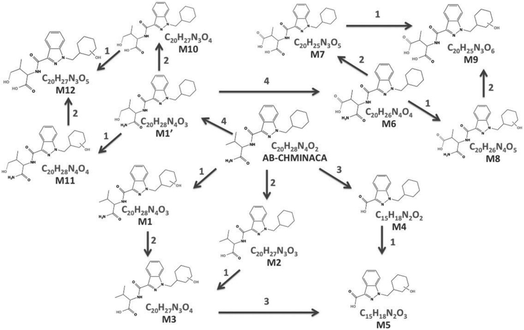Fig. 2.