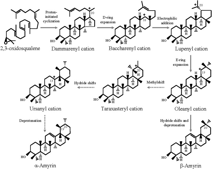 Figure 9.