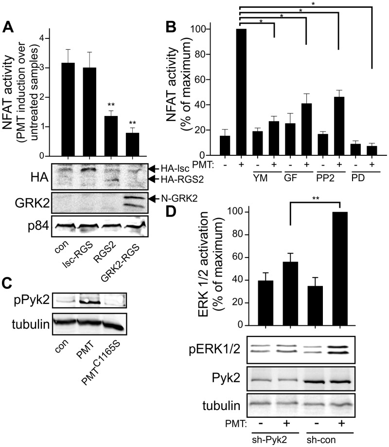 FIG 4 