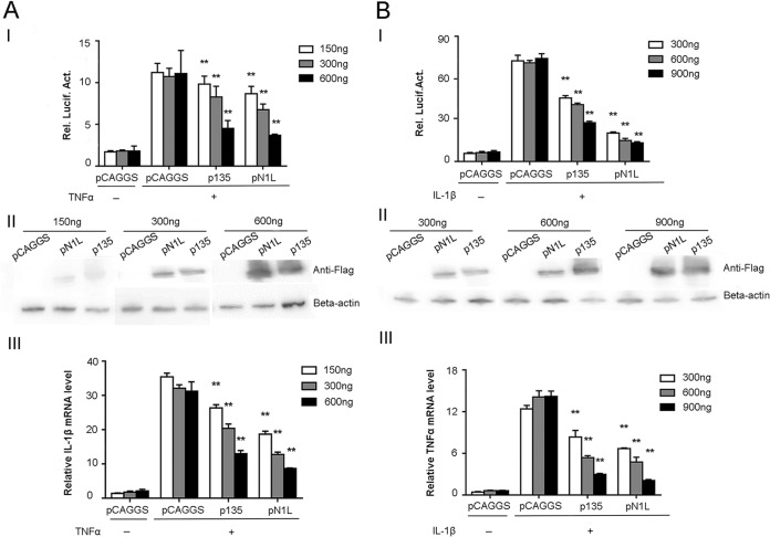 FIG 3