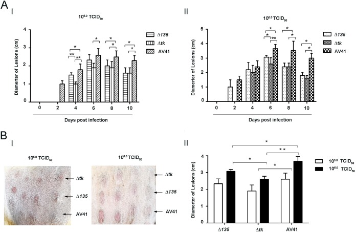 FIG 2