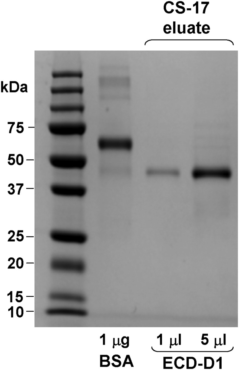 Figure 5.