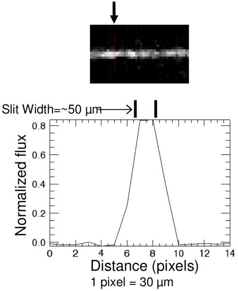 Fig. 8