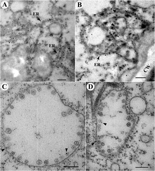 FIG 3