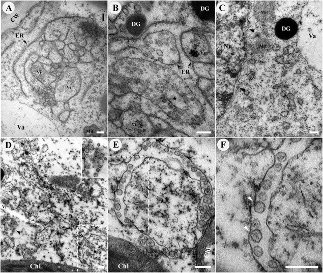 FIG 2