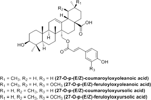 Fig. 1