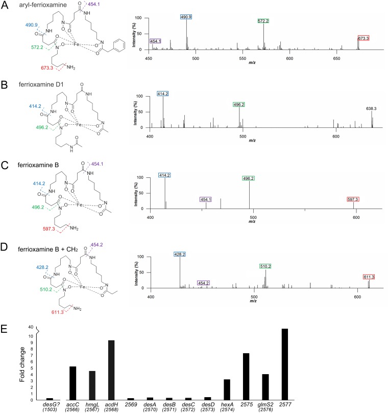 FIG 3