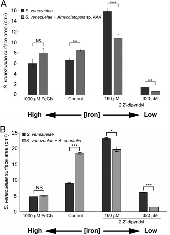 FIG 6