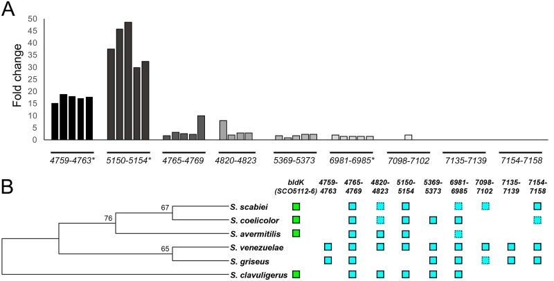 FIG 4