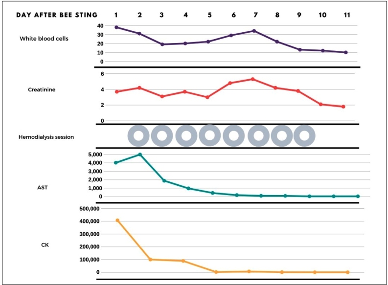 FIGURE 2: