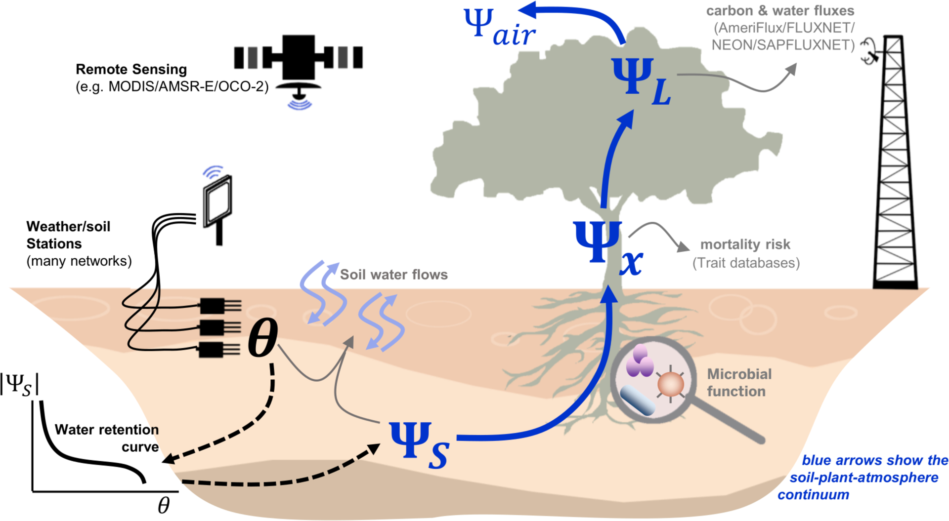 Figure 1: