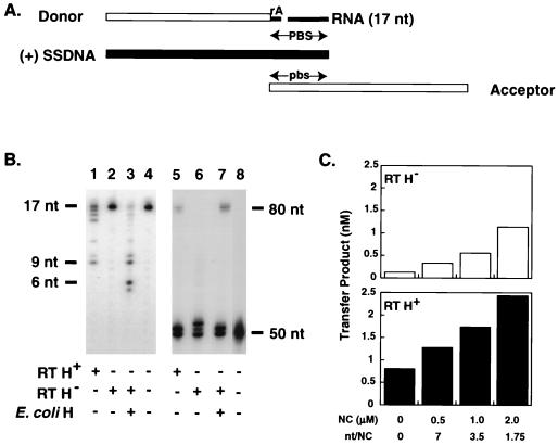 FIG. 7