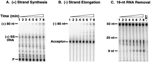 FIG. 6