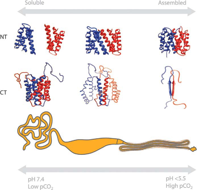 FIGURE 2.