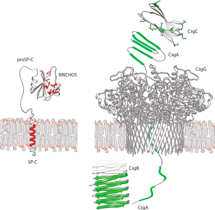 FIGURE 1.