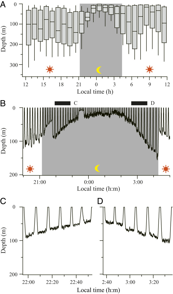 Fig. 2.