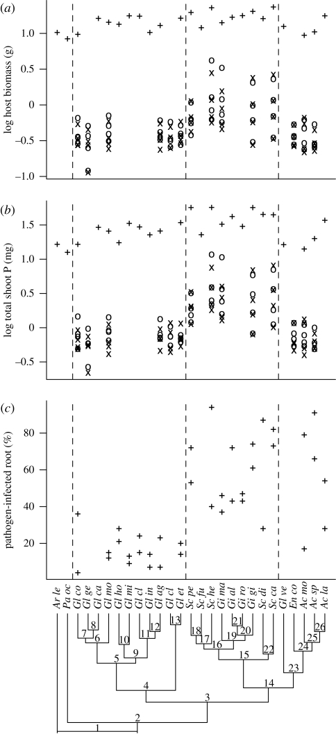 Figure 2.