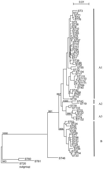 FIG. 2.