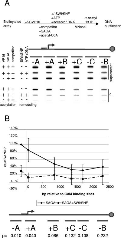 FIG. 2.